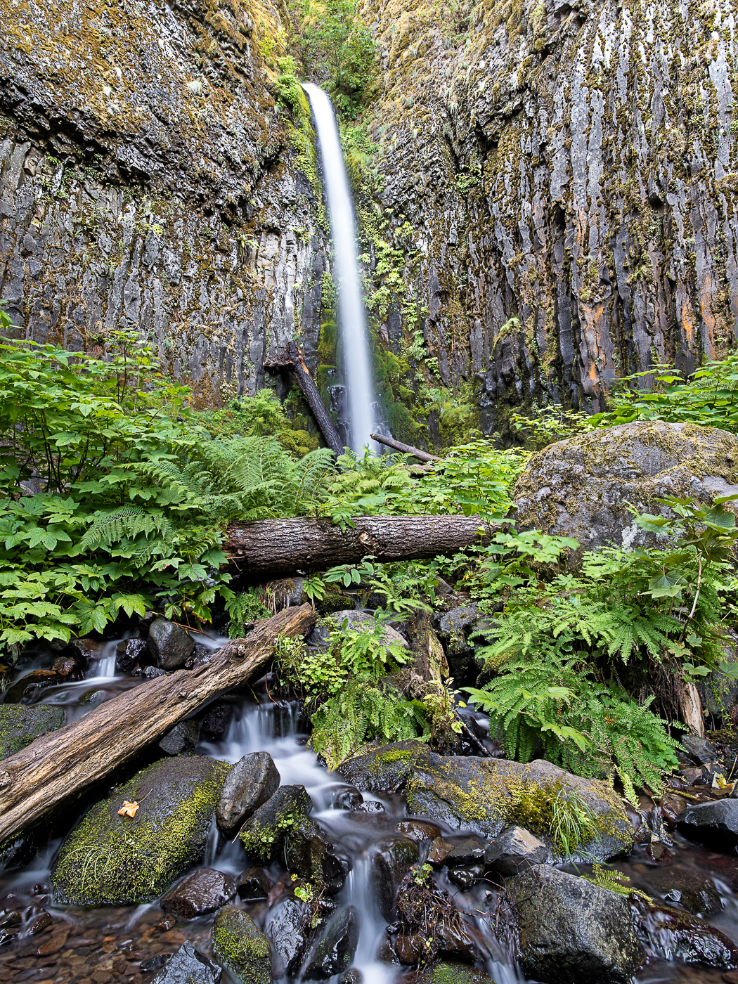 Dry Creek Falls